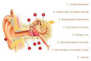 Verjetni vzroki in simptomi vnetja srednjega ušesa pri majhnih otrocih